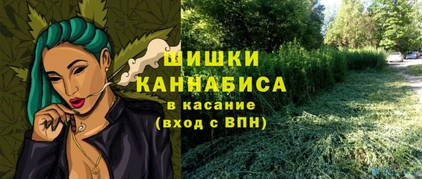 мет Заводоуковск