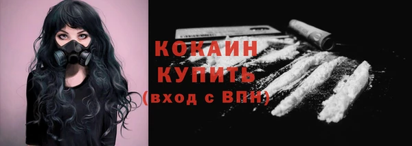 прущие грибы Белая Холуница