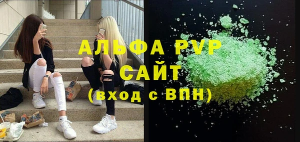 прущие грибы Белая Холуница