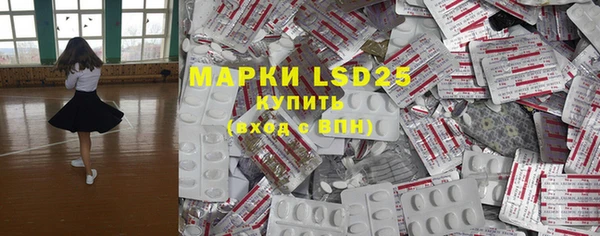 прущие грибы Зеленокумск