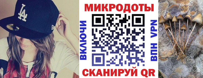 как найти закладки  Каменск-Шахтинский  Галлюциногенные грибы Magic Shrooms 