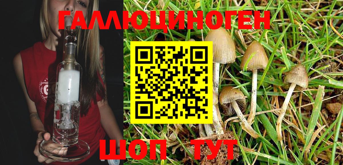 Каменск-Шахтинский  Псилоцибиновые грибы Psilocybe  Вход с VPN  Галлюциногенные грибы ЛСД 